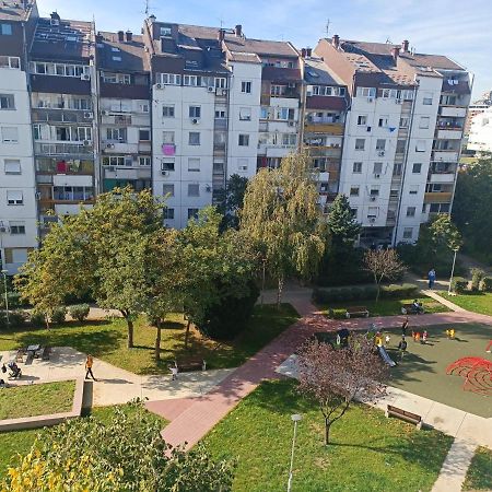 Serbian Home, Gandijeva 162 بلغراد المظهر الخارجي الصورة